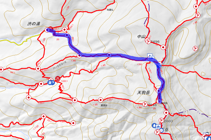 東天狗岳　マップ