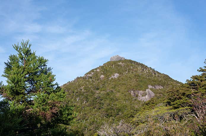 トーフ岩