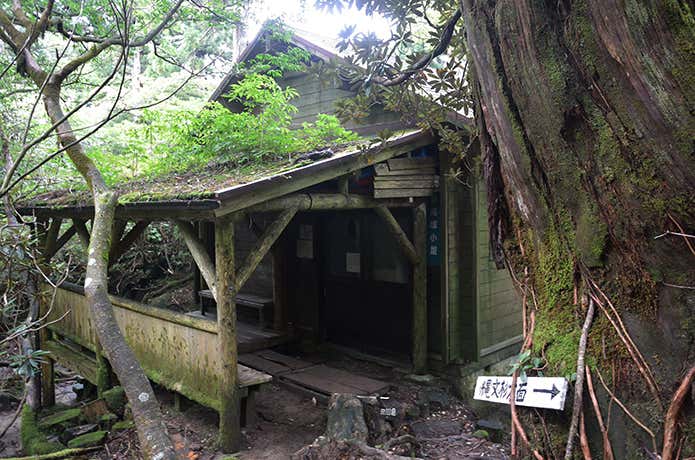 新高塚避難小屋