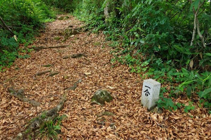 登山道1合目