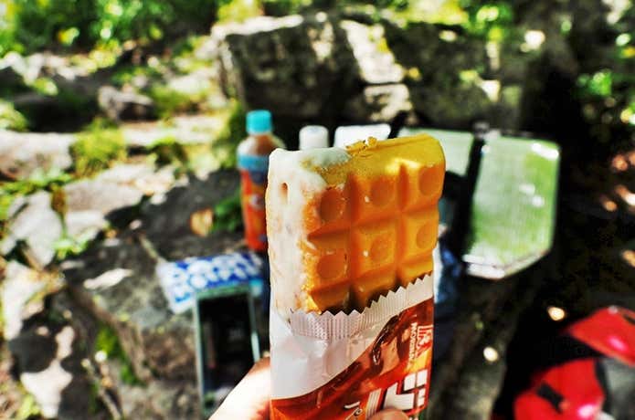 若干溶けているチョコモナカジャンボ