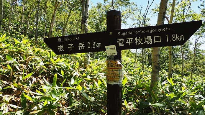 登山道の看板