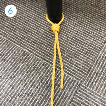 エバンスノット6