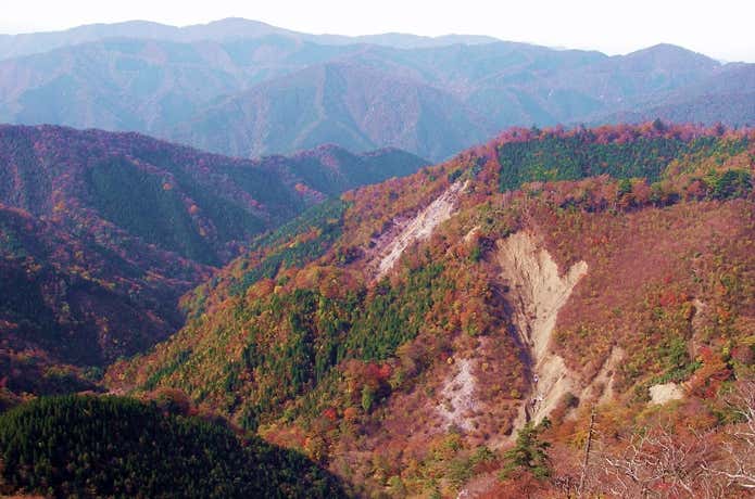 向坂山
