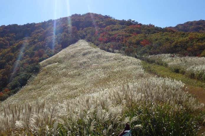 鉢伏山　稜線