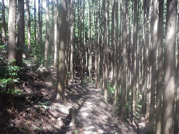 平坦道