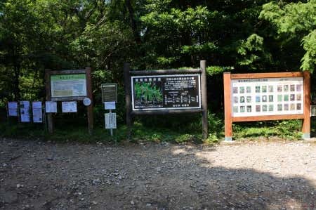 葦毛湿原入口