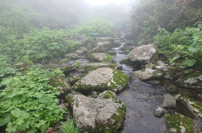 川沿いを歩く