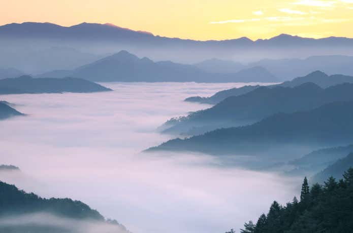 雲海