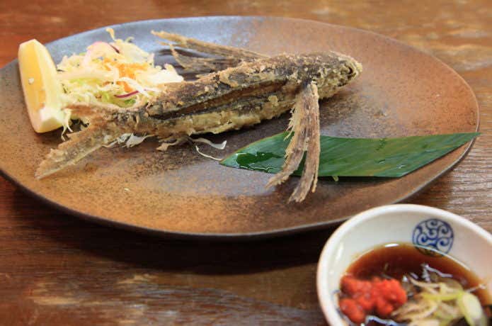 トビウオ料理