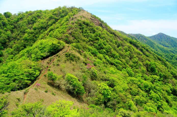 塔ノ岳