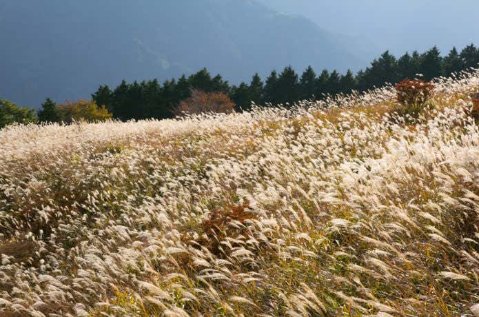 大和葛城山