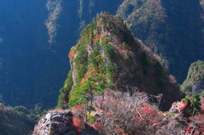 桃の木山の家