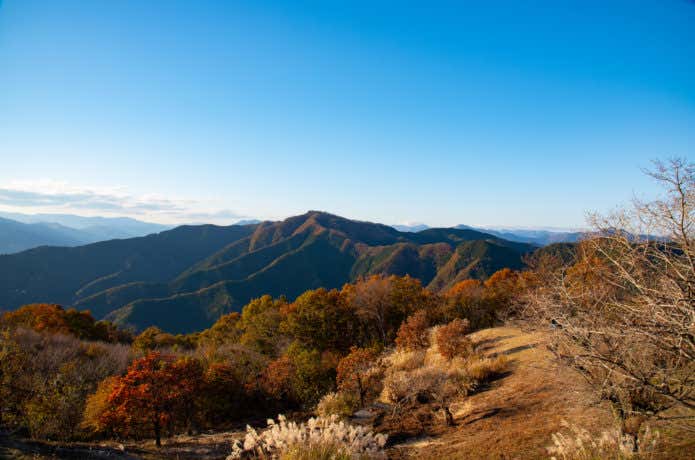 陣馬山山頂から見る紅葉