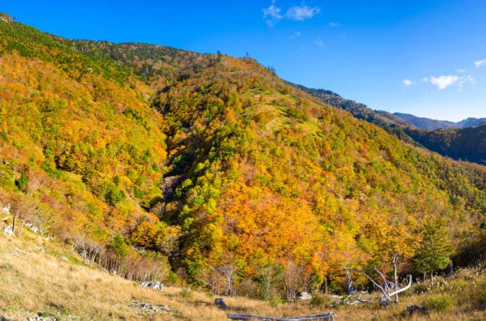 八経ヶ岳　紅葉