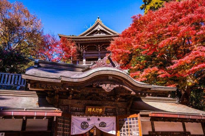薬王寺の紅葉