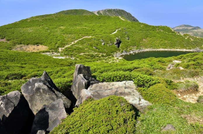 久住山周辺部
