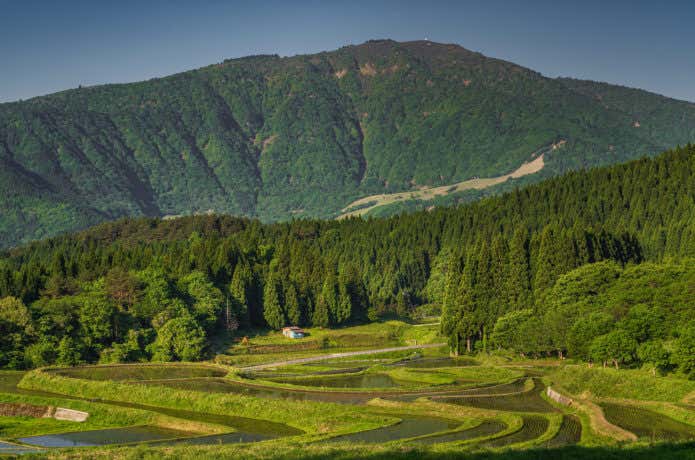 氷ノ山