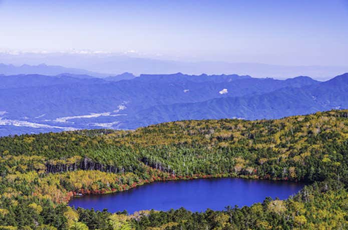 白駒池