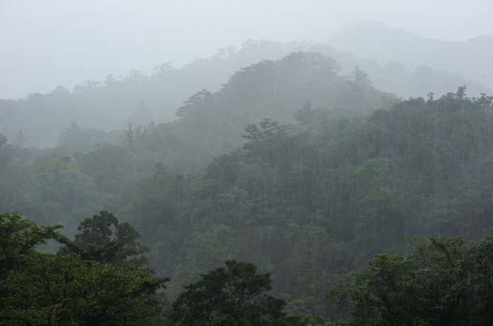 雨の宮之浦岳