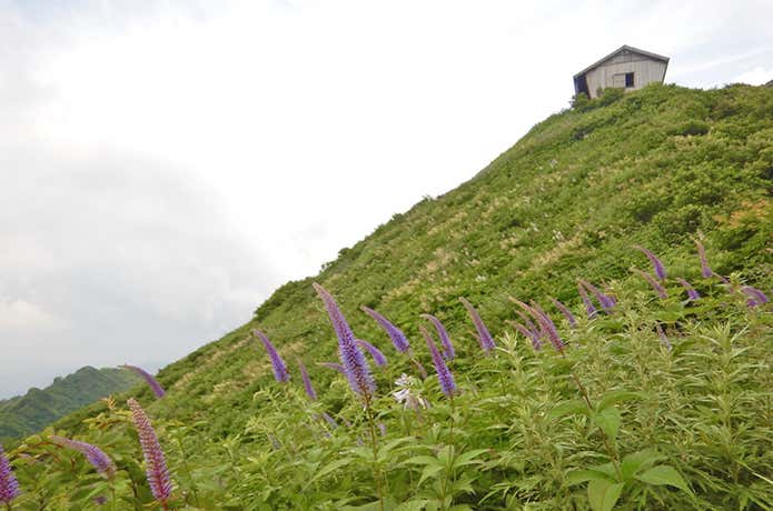 大山ユートピア