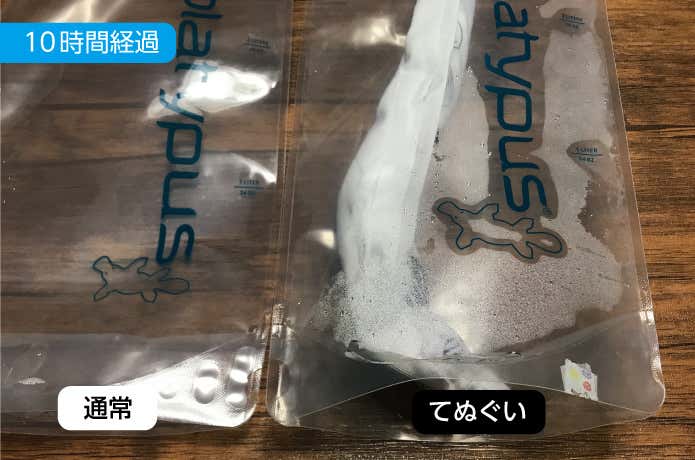 てぬぐい2