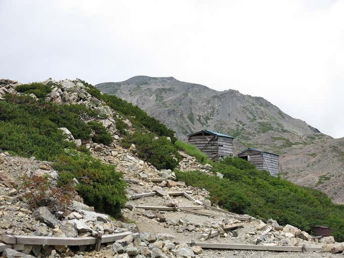 農鳥小屋のテント場