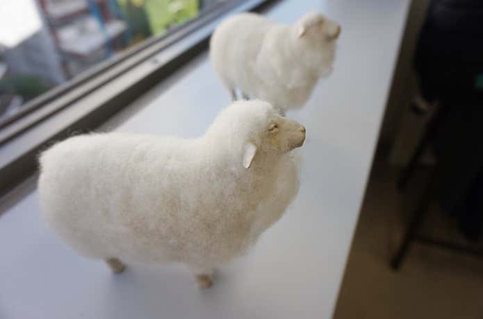 ウールマークカンパニー