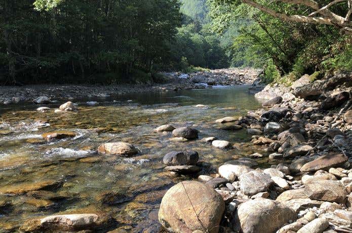 八ノ沢出合を目指す