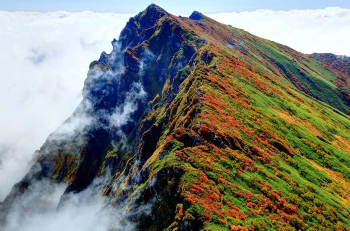 美しい山景色