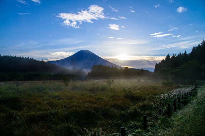 湿原と富士山