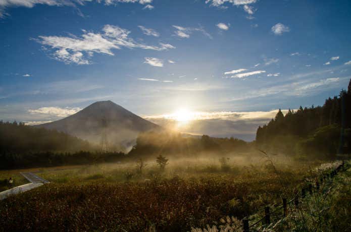 湿原と富士山