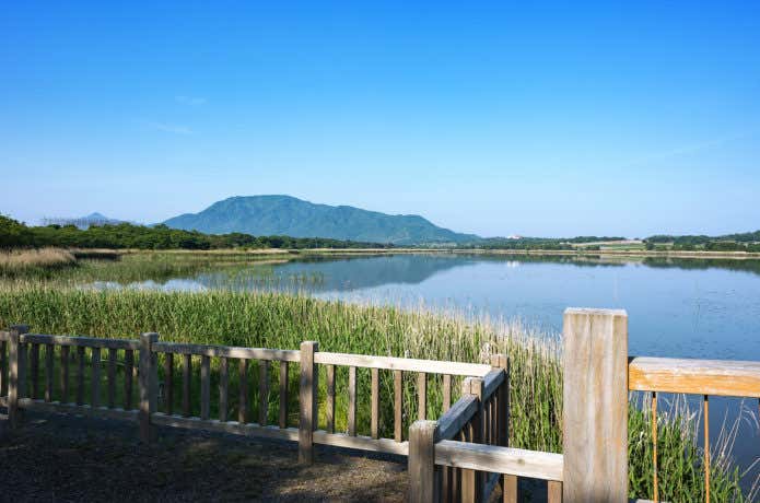 湿地全景　佐潟湿地