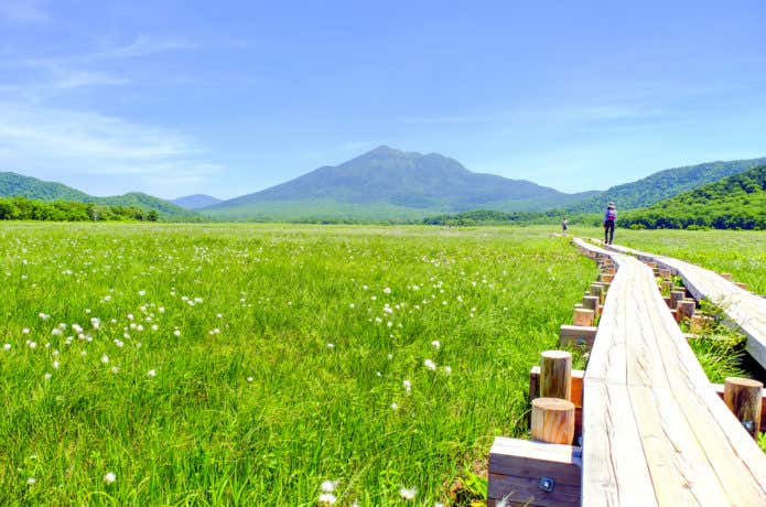 尾瀬ヶ原