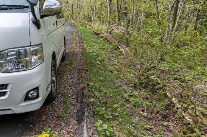 林道を走る車