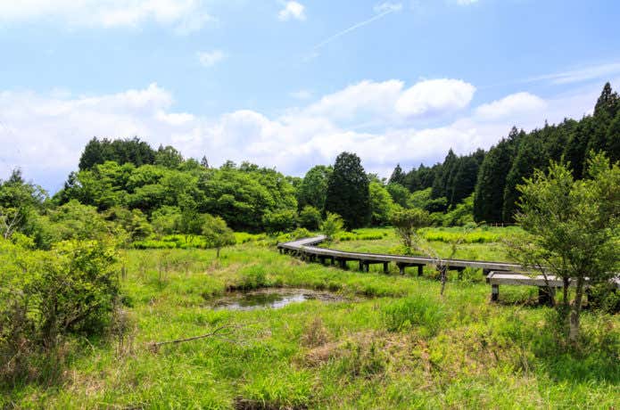 小田貫湿原