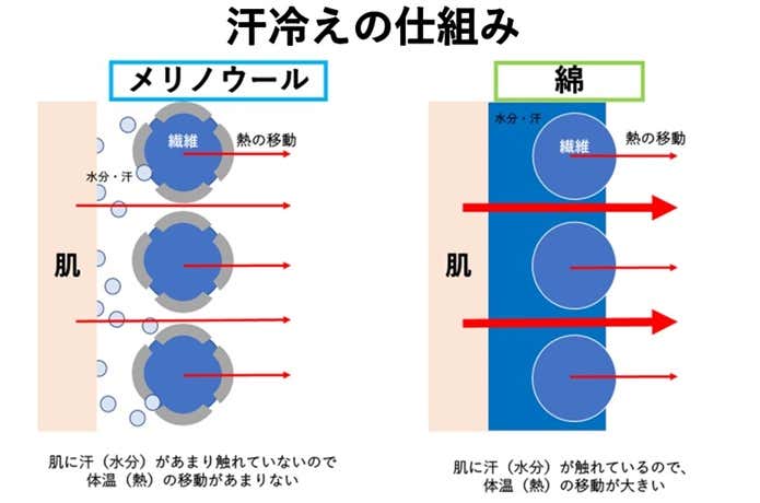 汗冷えの仕組み