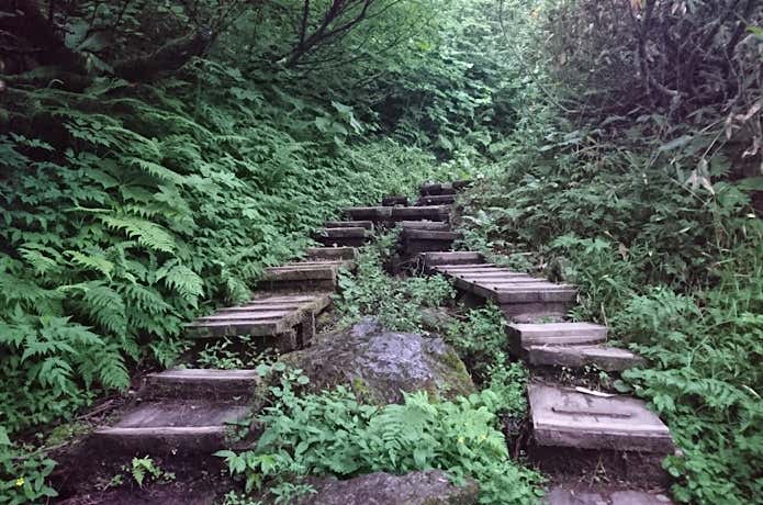 登山道の木段
