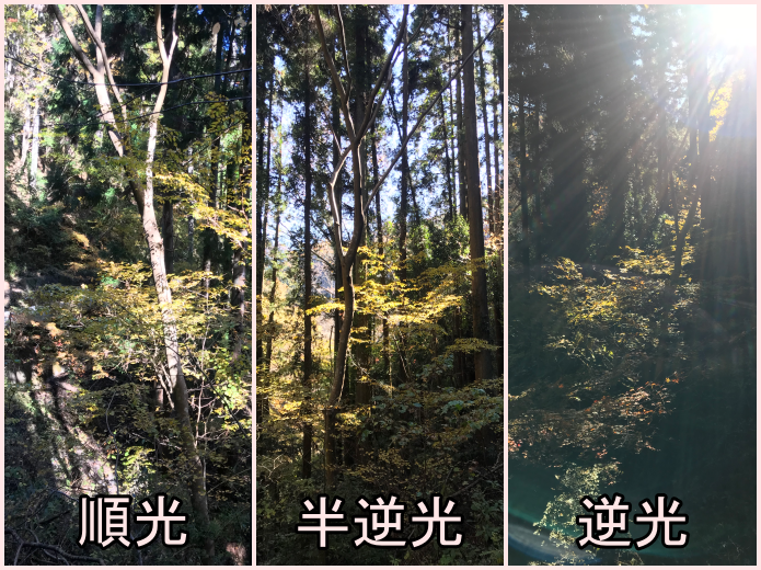 順光、逆光、半逆光