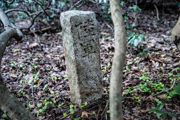 陸軍の文字