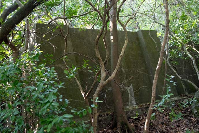 尾根上に残る遺構群