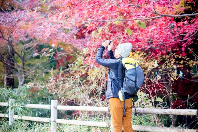高尾山で紅葉狩りを楽しむ人