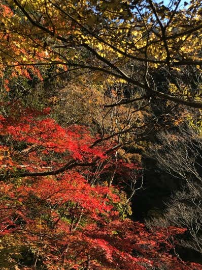 縦位置の写真