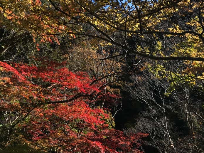 横位置の写真