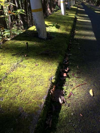 道の写真