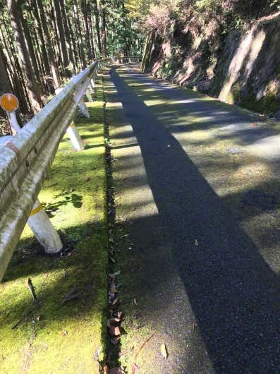 未知の光
