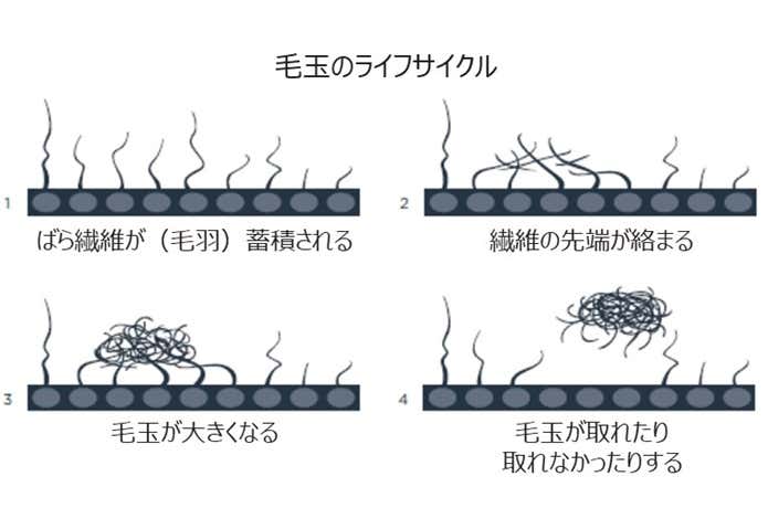 毛玉のサイクル
