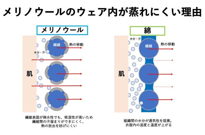 メリノウールのウェアが汗冷えしにくい理由