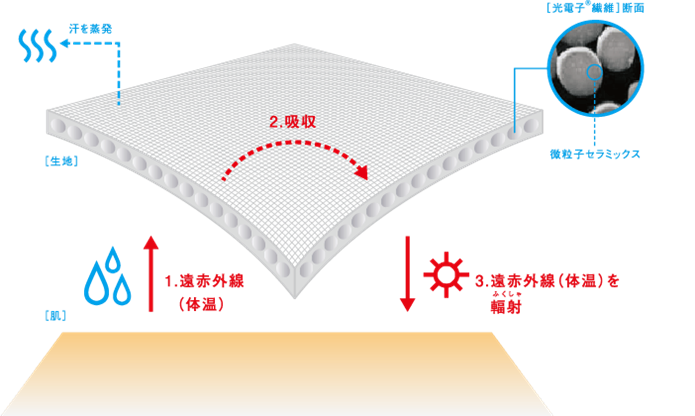 光電子の仕組み