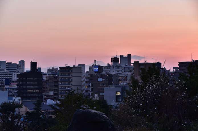 西郷山　眺望